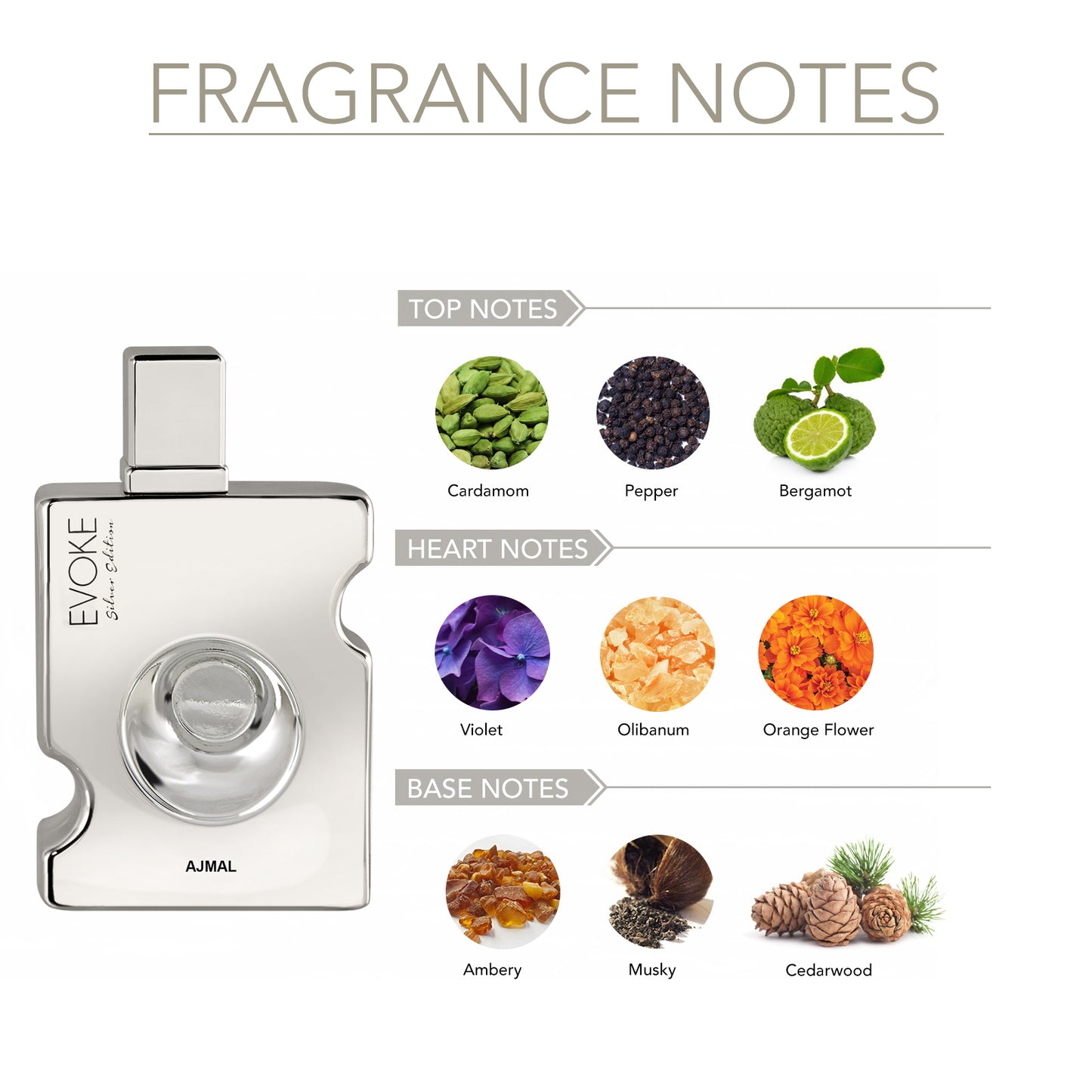 EVOKE SILVER EDITION HIM EDP 90ML