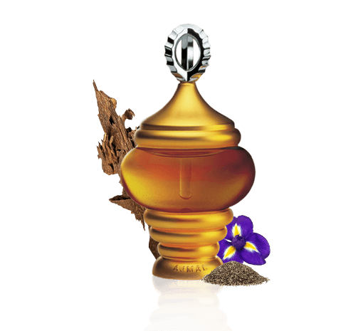 1001 NIGHTS CONC.D PERF 30ML